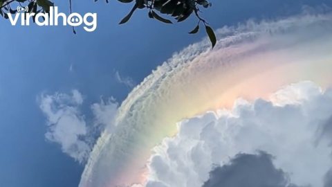 Iridescent Rainbow Clouds || ViralHog