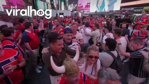 Norwegian Fans Bring 'Viking Rowing' Celebration to Times Square Ahead of Senegal Clash || ViralHog