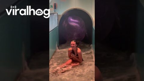 Rider Catches Air on a Cruise Ship Waterslide || ViralHog