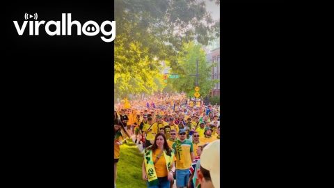 Australian Soccer Fans Show up in Vancouver || ViralHog
