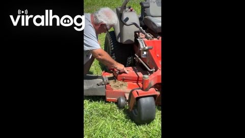 Husband Finds Snake in Riding Mower || ViralHog