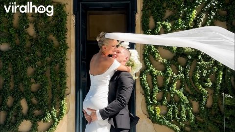 Wind Blows Away Bride's Veil || ViralHog