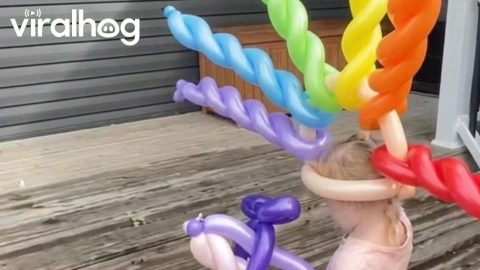 Nonchalant Birthday Balloon Mohawk Hat || ViralHog