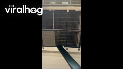 I Think I Figured Out Why My AC Unit Has Been Underperforming || ViralHog