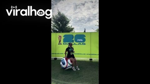 Successful 5k Racer's Photo Op Disrupted by Falling Backdrop || ViralHog