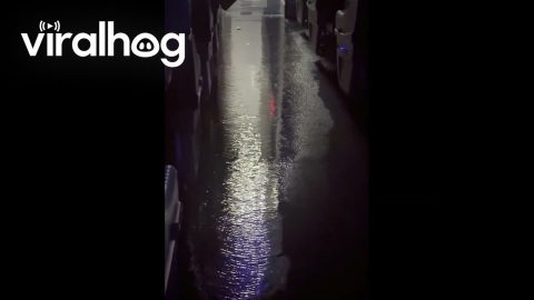 Water Leaks onto Plane During Flight || ViralHog