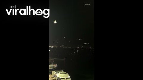 Seagulls Fly Menacingly Around Oracle Park Baseball Stadium || ViralHog