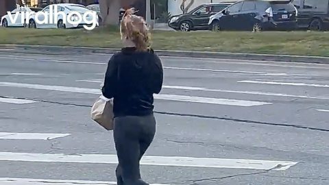 Lady Grabs Burger Order Before Light Changes || ViralHog