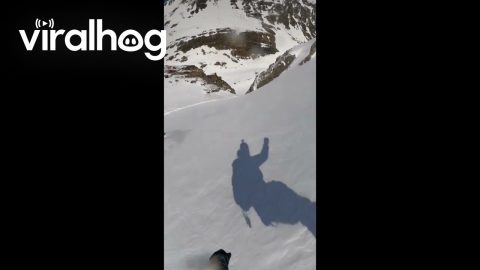Snowy Mountain Day With My Border Collie || ViralHog