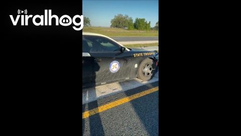 State Trooper Stops Driver Going Wrong Way Down Shoulder In Locked Traffic || ViralHog