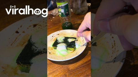 You Ordered Cake but Got Served a Sponge || ViralHog