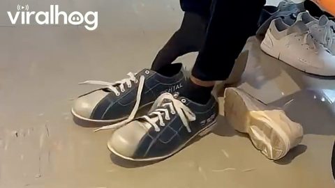 Size 17 Bowling Shoes || ViralHog