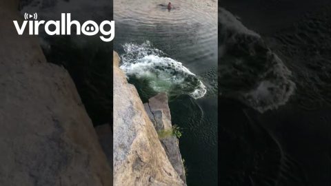 Large Man's Butt Bounces Off Rock During Cliff Jump || ViralHog