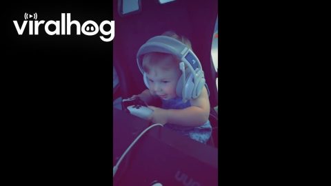 Tiny Gamer Dude || ViralHog