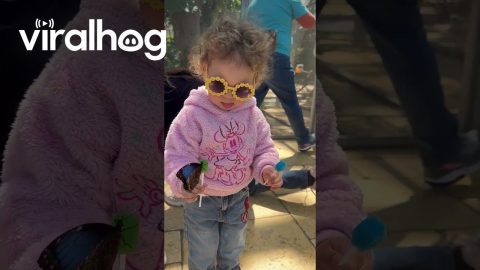 Girl Meets Butterflies at the Nicholas Conservatory and Gardens in Rockford, IL || ViralHog
