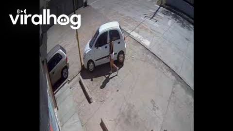 That's One Way to Park || ViralHog