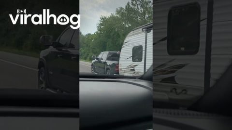 Camping Woman Rides Comfortably In Truck Bed || ViralHog
