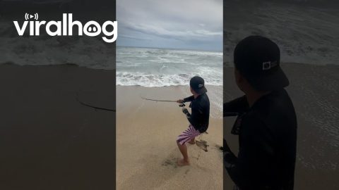 Fisherman Chases Catch Into the Ocean || ViralHog