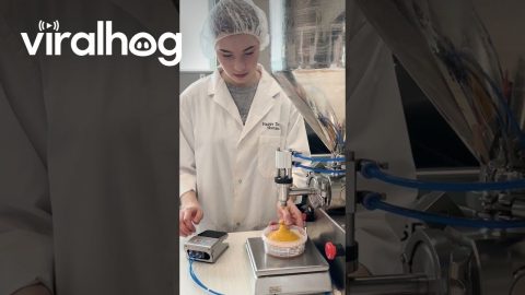 Staff Makes Hummus Pies || ViralHog