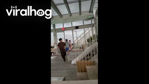 Thunderstorm Chaos Engulfs Rooftop Pool As Guests Rush For Cover In Brooklyn || ViralHog