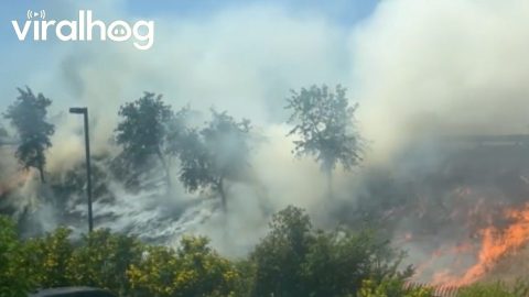 Fire in Fresno, California || ViralHog
