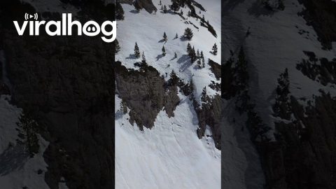 Snowboarding on Top of a Slab Rock While My Dog Waits for Me || ViralHog