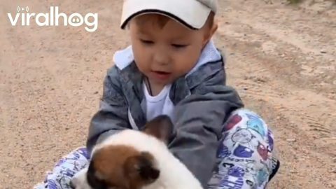 Boy and Puppy Play Together || ViralHog
