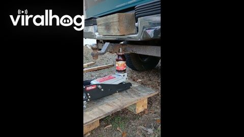 Will It Lift: Strawberry Jam Edition || ViralHog