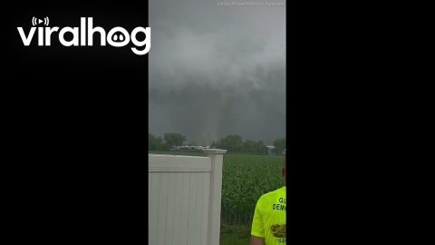Severe Storms Spawn Multiple Tornadoes Across Illinois || ViralHog
