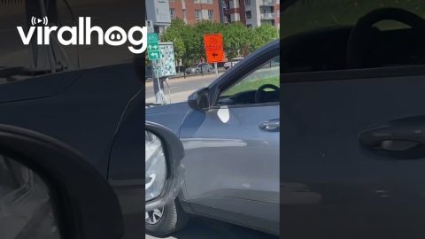 You Can Turn in Laval || ViralHog