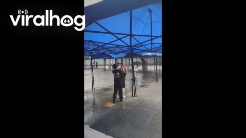 Two Women Drenched After Canopy Gives Way in the Rain || ViralHog