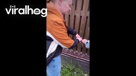 Helping A Stork With Its Wing Stuck in a Wire || ViralHog