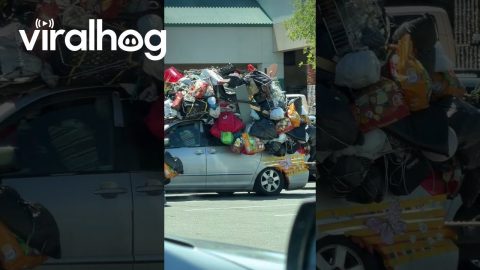 Hoarding Taken to a New Level || ViralHog