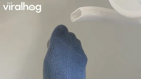 Sock Mop Baseboard Cleaning Trick || ViralHog
