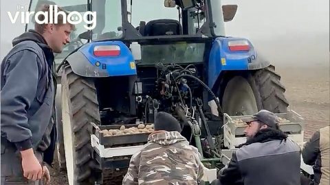 Satisfying Potato Planting || ViralHog