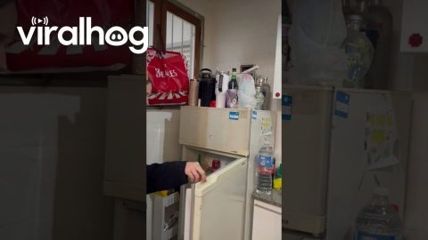 Iced up Refrigerator || ViralHog