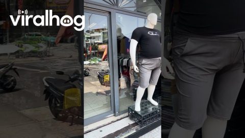 Big Man Store In Vietnam || ViralHog