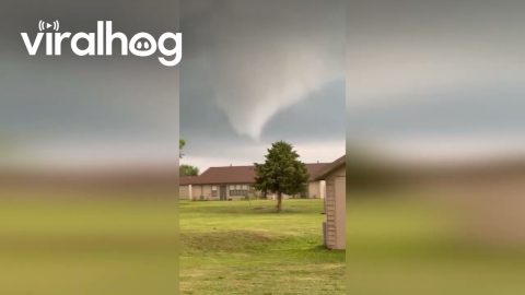 Massive Wedge Tornado Looms Over Oklahoma Suburb || ViralHog