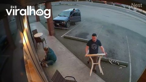 Crazy Wind Blows Away Table With Two Dogs Attached || ViralHog