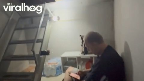 Inside a Storm Shelter as a Tornado Passes Overhead in Oklahoma || ViralHog