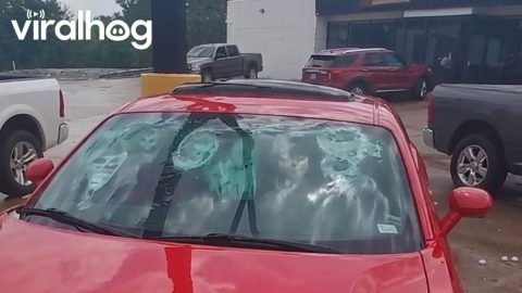 Aftermath of a Massive Hailstorm in Springfield, Missouri || ViralHog