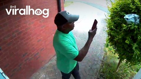 Delivery Driver Hides Package in Bush || ViralHog
