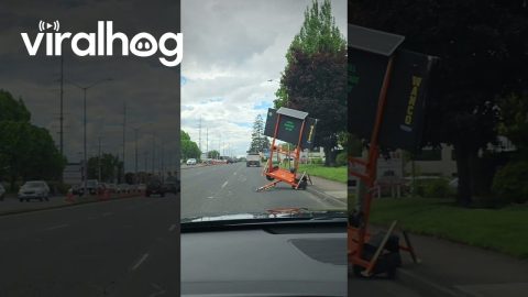 Improperly Secured Construction Sign Rolls Into Traffic || ViralHog