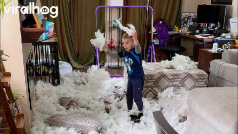 Kids Unzip Cushions and Make Mess of Stuffing || ViralHog