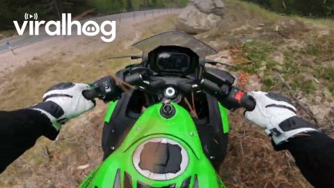 Rider Goes Off Road After Hitting Bump Mid Corner || ViralHog