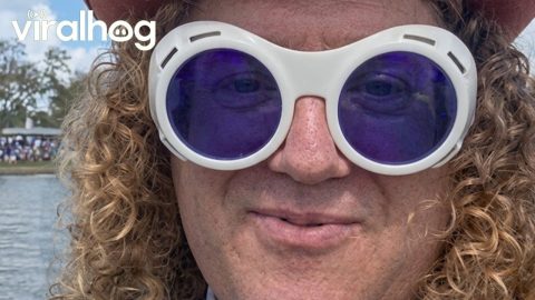 Willy Wonka Impersonator Witnesses a Seaplane Crash || ViralHog