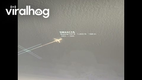 I Built a Ceiling Projection Mapping of the Planes Flying Over My House || ViralHog