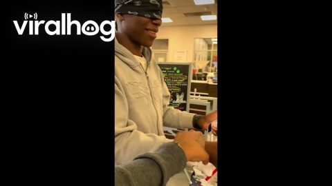Mom Surprised Son With a Cat for His Graduation Gift || ViralHog