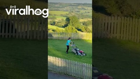 Lawn Mowing and Michael Jackson Moves || ViralHog