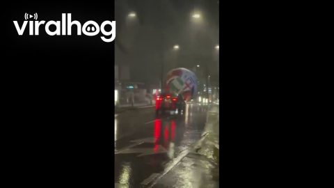 Giant World Cup Inflatable Ball Rolls Through Streets Amid Inclement Weather || ViralHog
